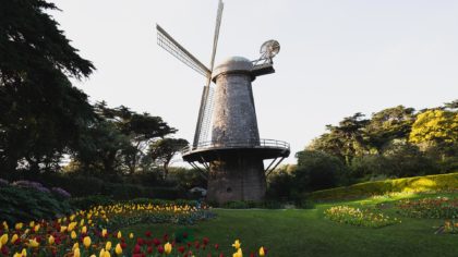 san francisco botanical garden windmill