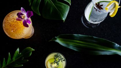 tropical cocktails