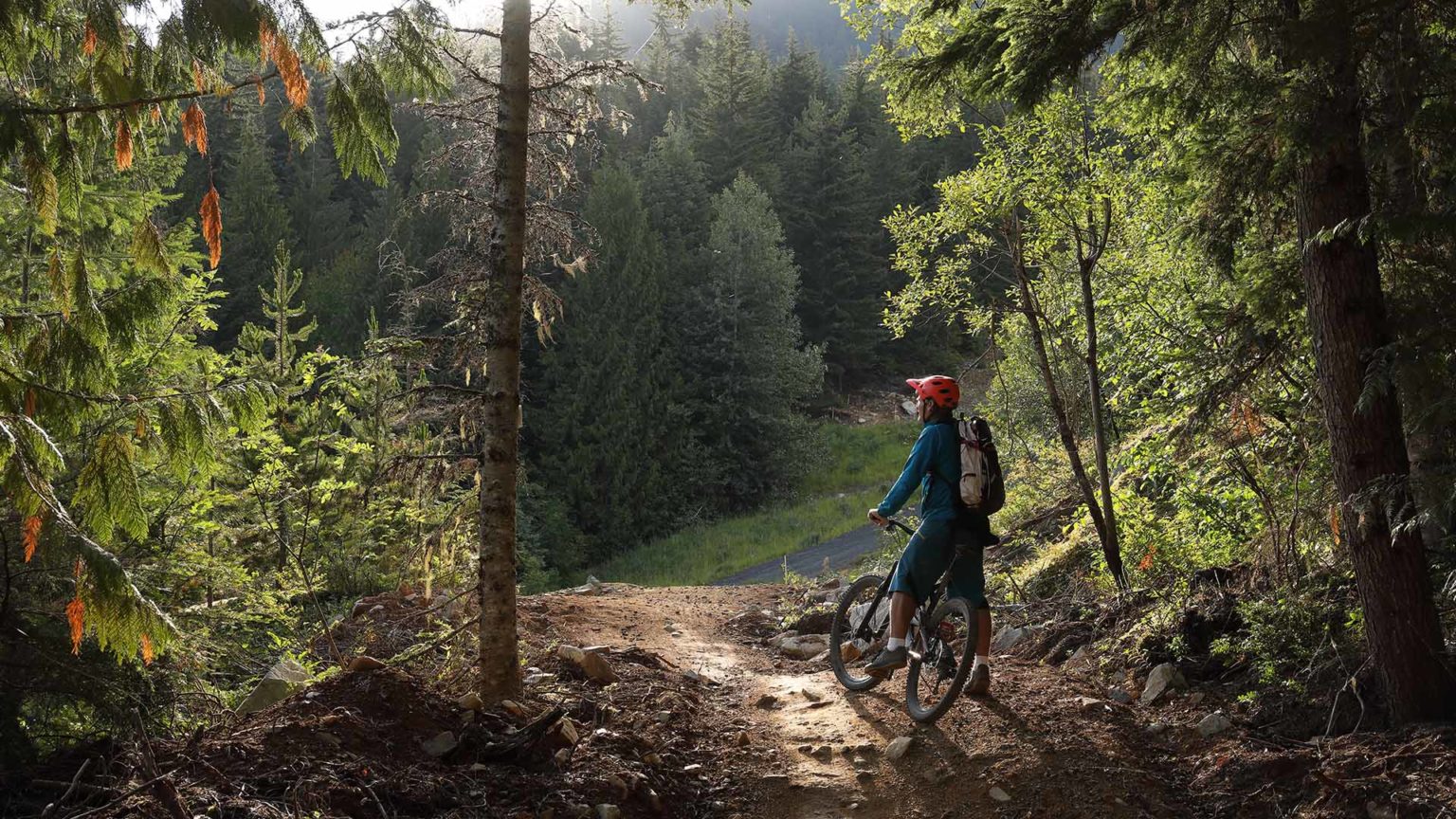 cycling vacations
