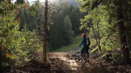 mountain biker on trail in woods