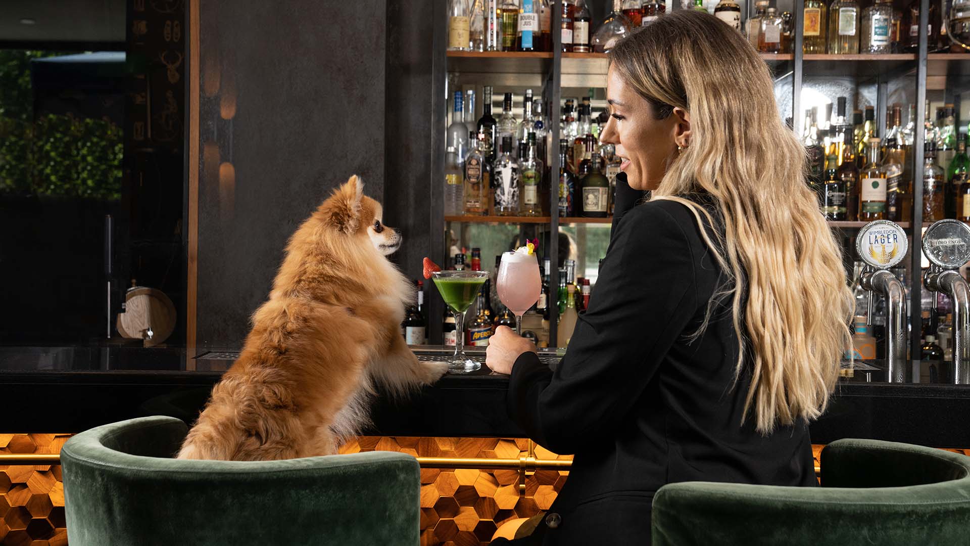 woman and dog at bar