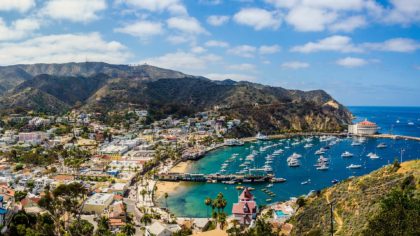 Catalina Island with boats in harbor