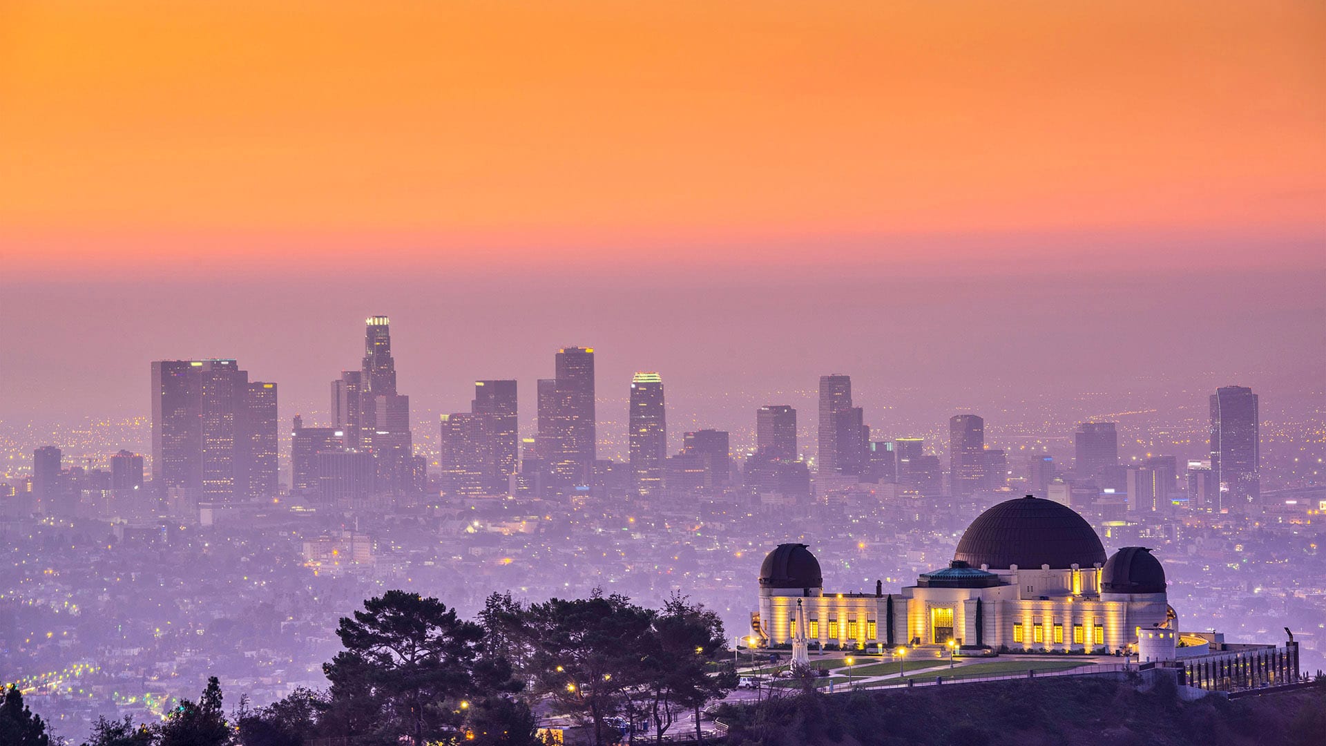 The Los Angeles skyline from Griffith Park at sunset