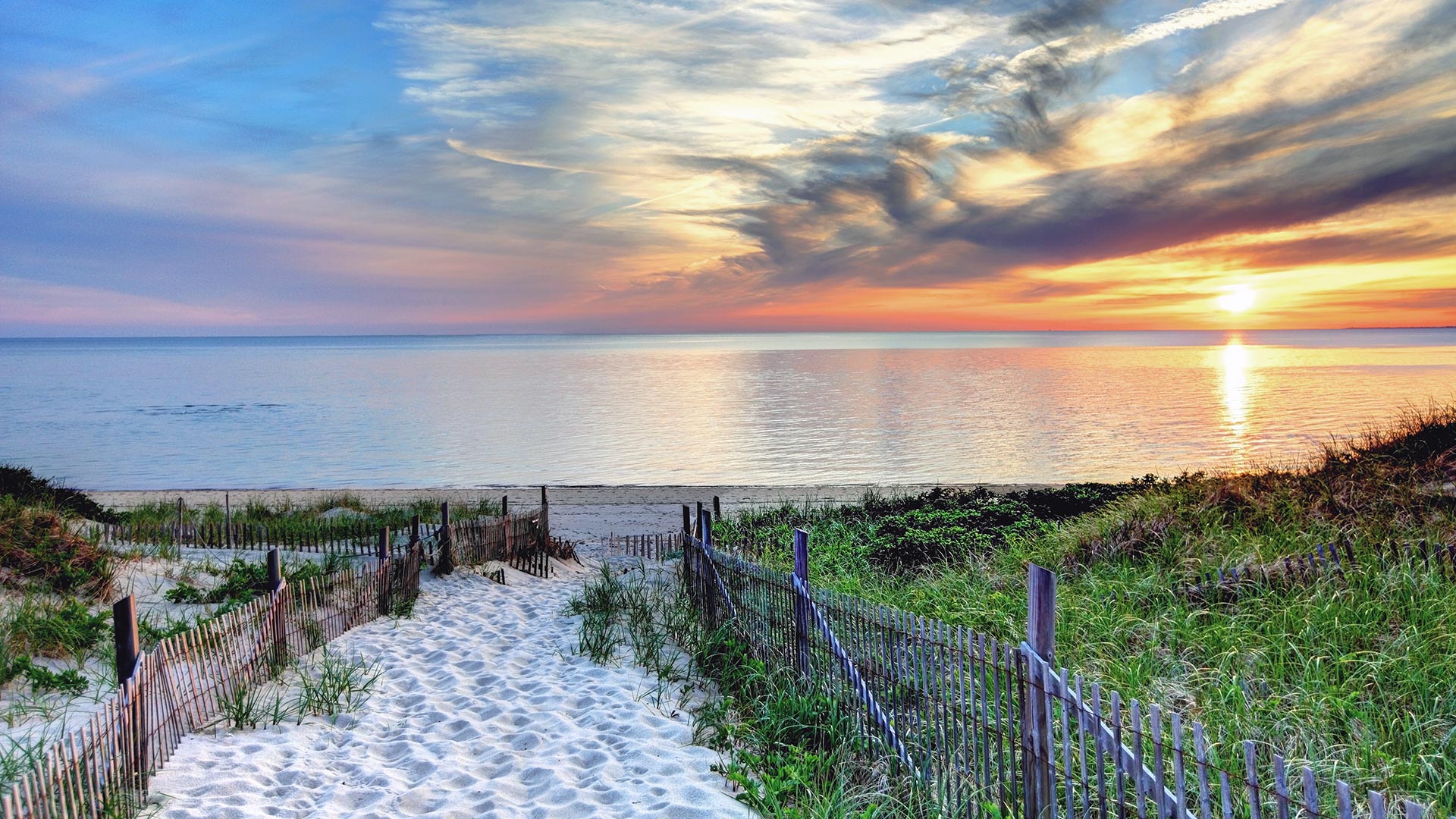 10 Best Beaches in Cape Cod - What is the Most Popular Beach on Cape Cod? –  Go Guides