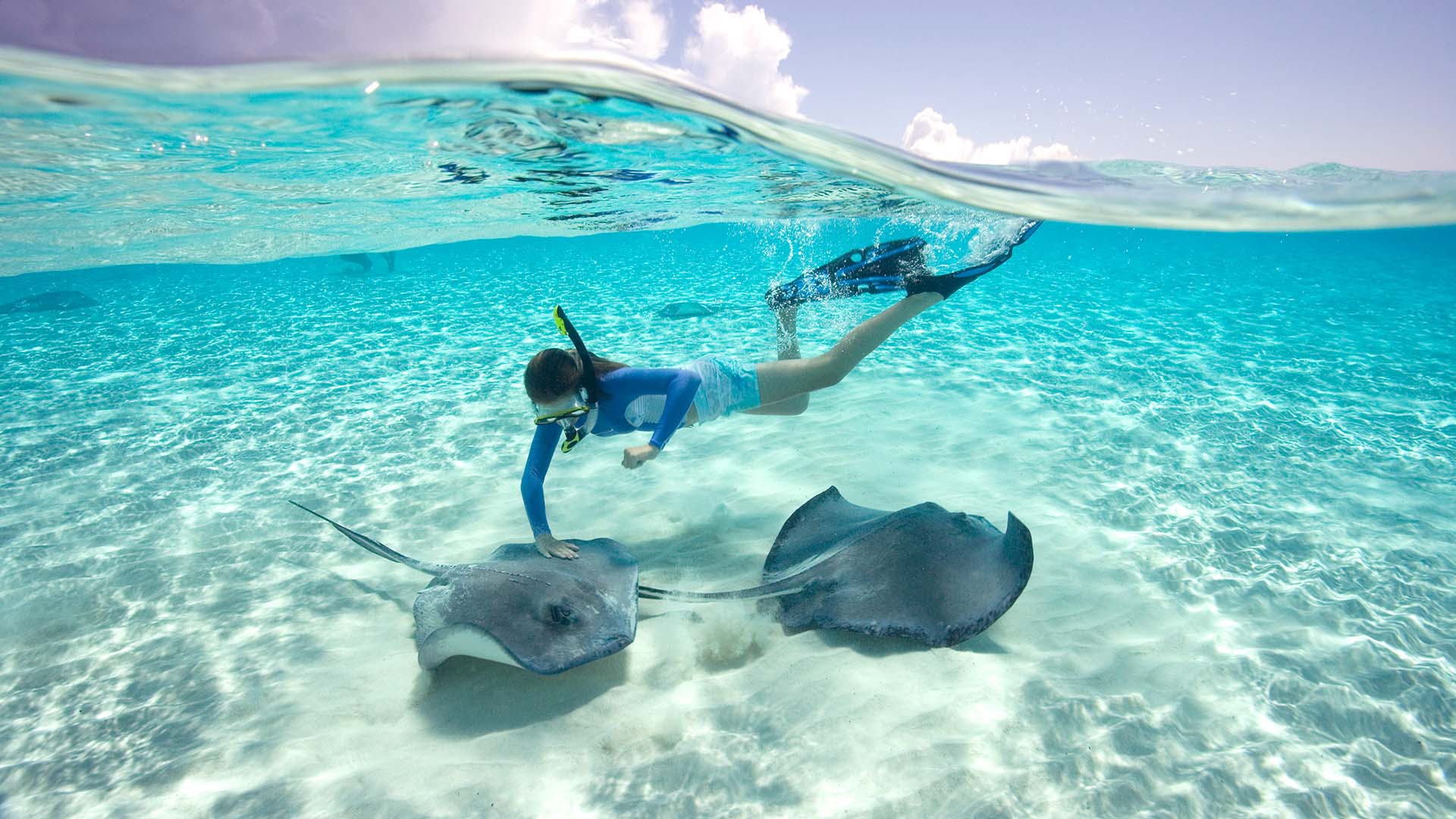 girl snorkeling with sting rays