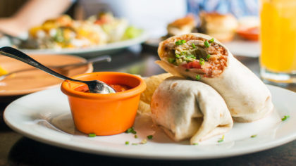 Burrito and salsa on a plate