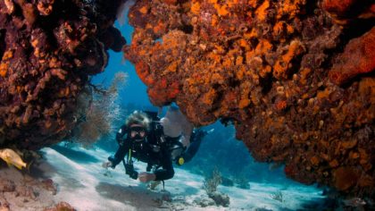 Scuba diver swimming through coral