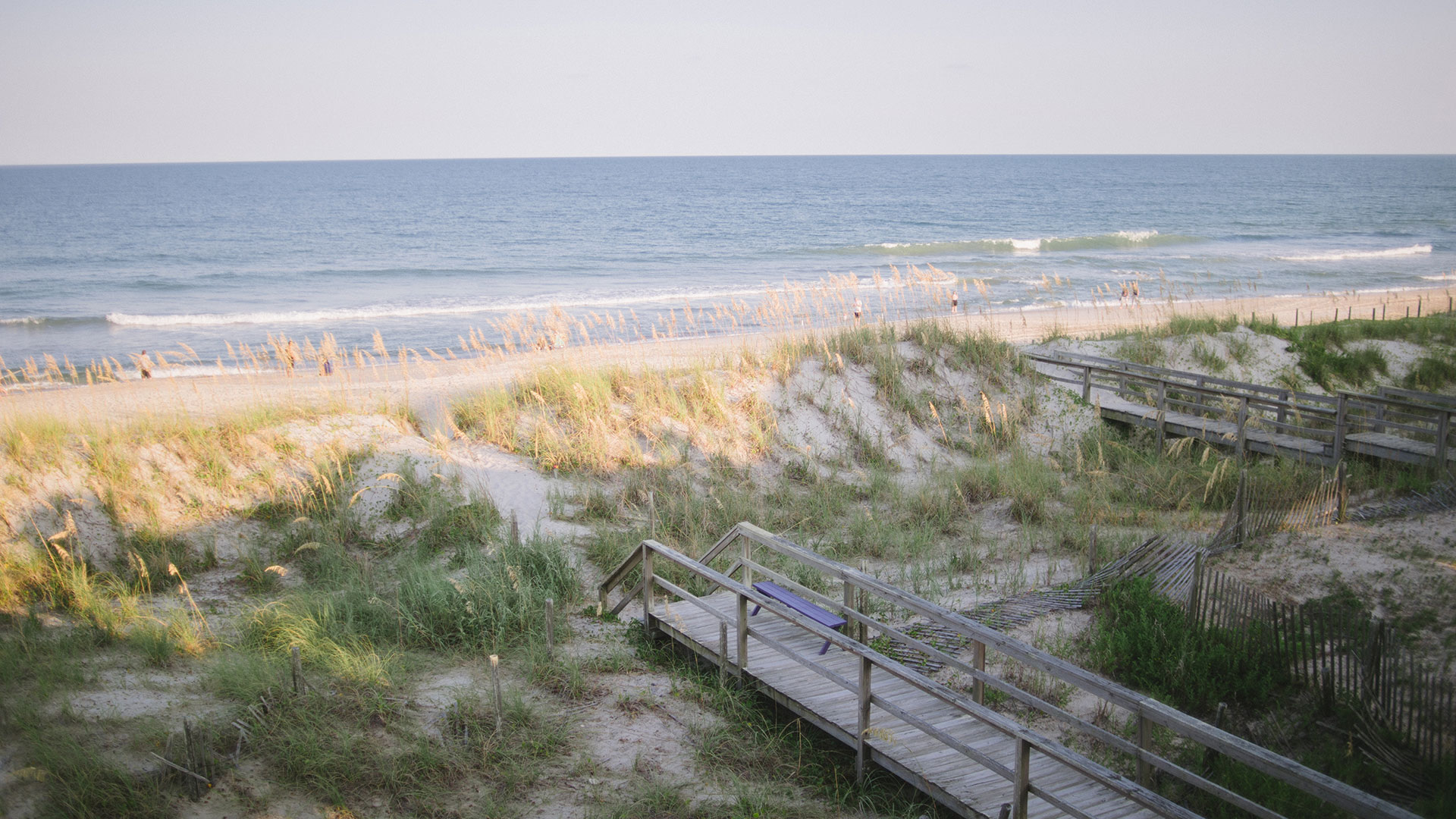 Carolina Beach shoreline and dunes