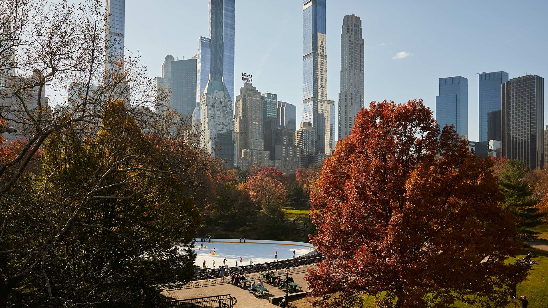 Central Park in NYC during the fall