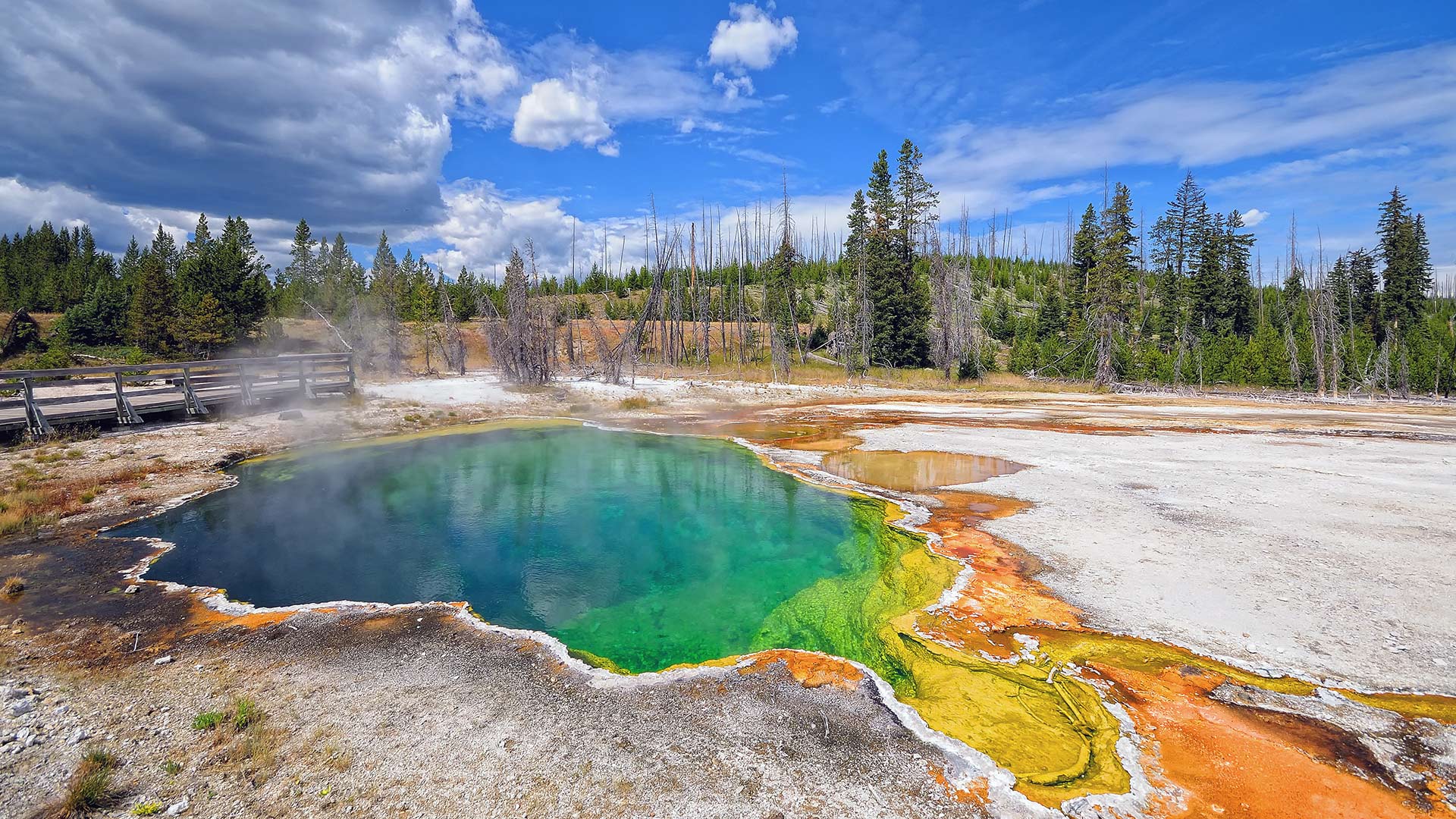 Yellowstone Geyser during the day