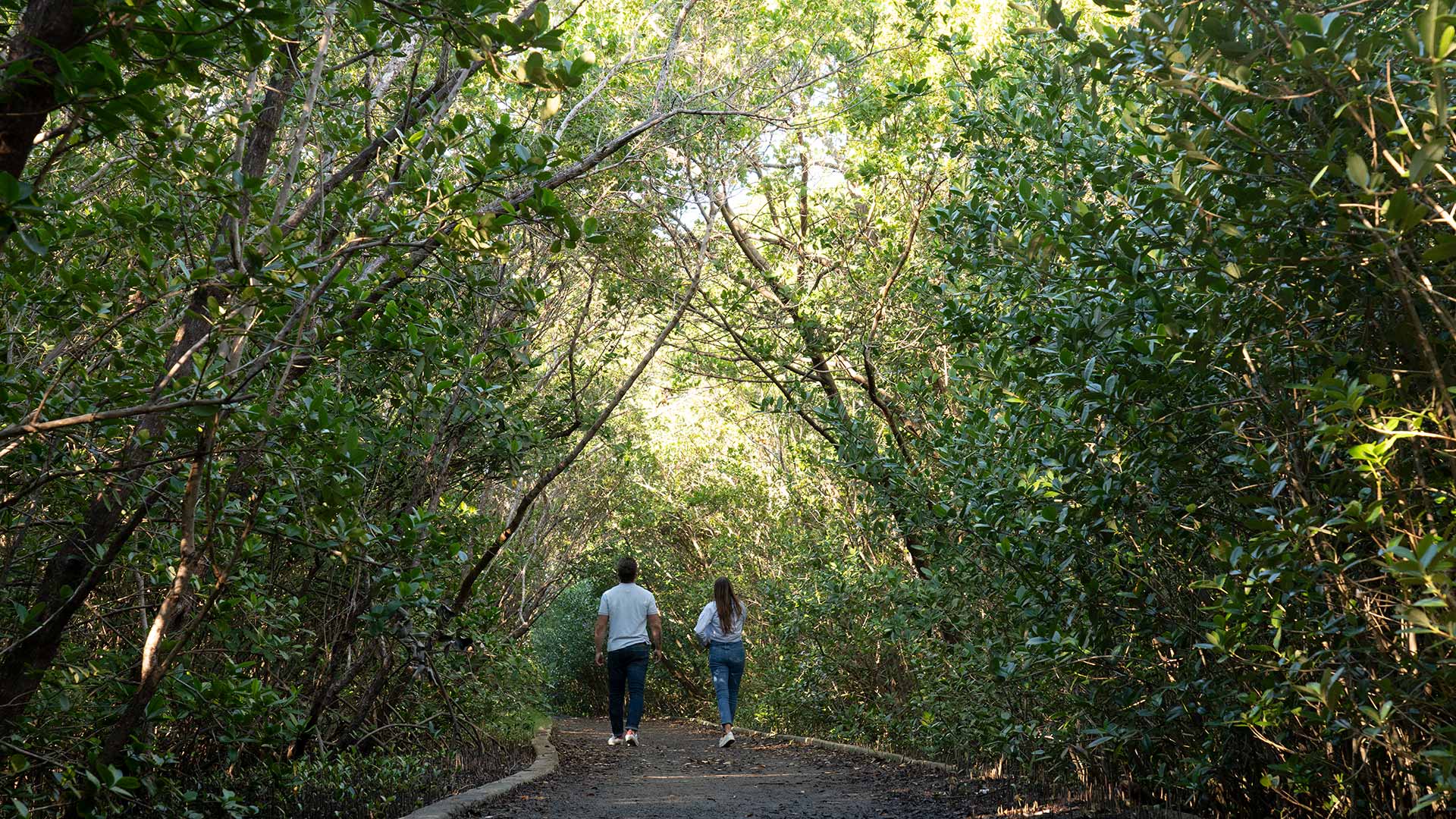 Couple walking through Hugh Taylor Birch State Park
