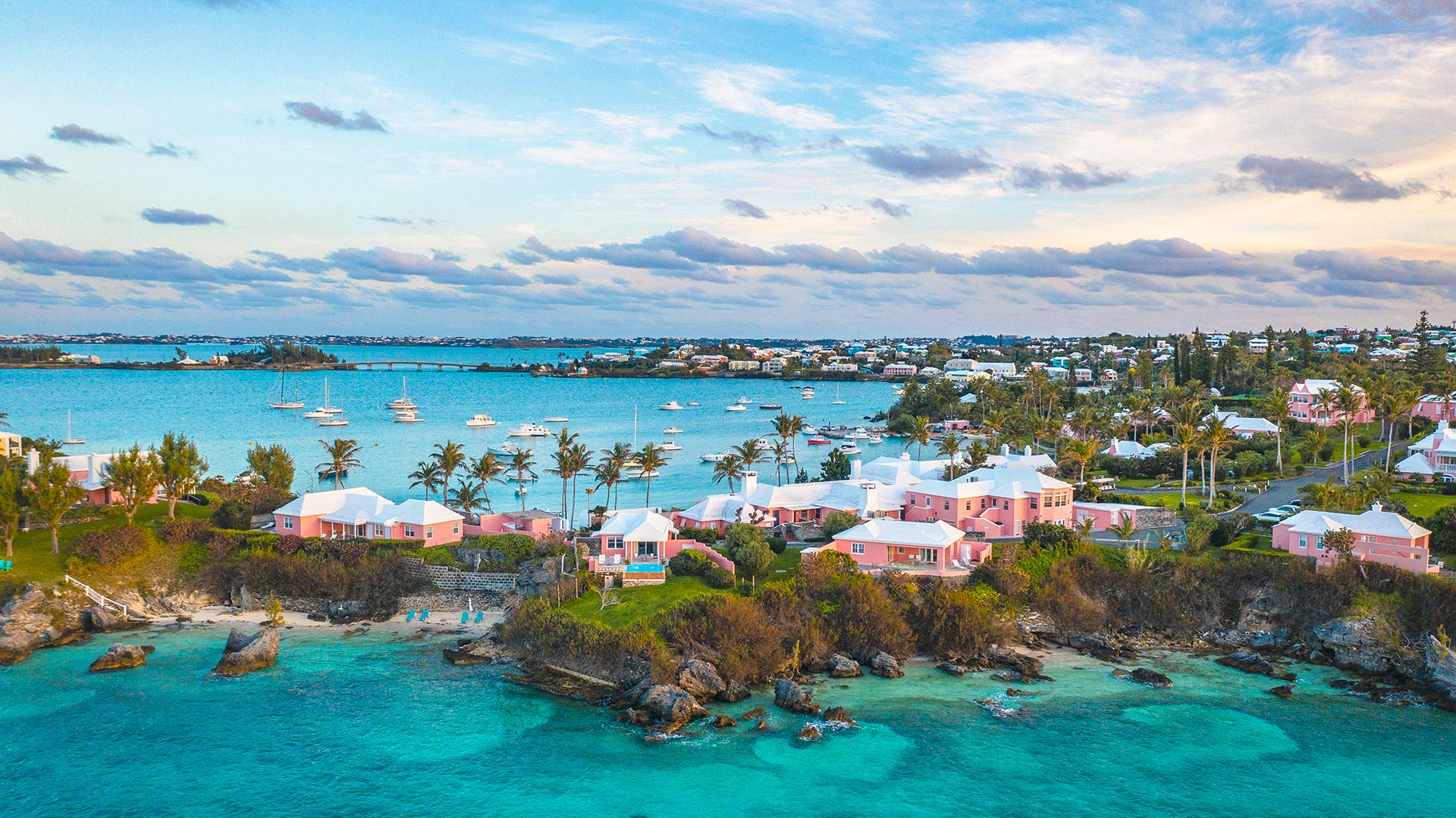 Pink houses along coast of Bermuda