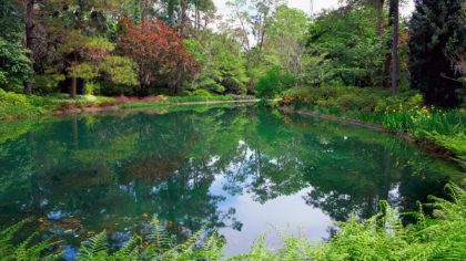 pond in the Alfred B. Maclay Gardens State Park.