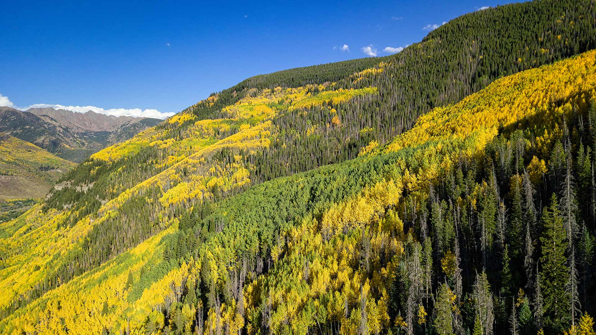 Landscape of Colorado's Gore Range during the summer