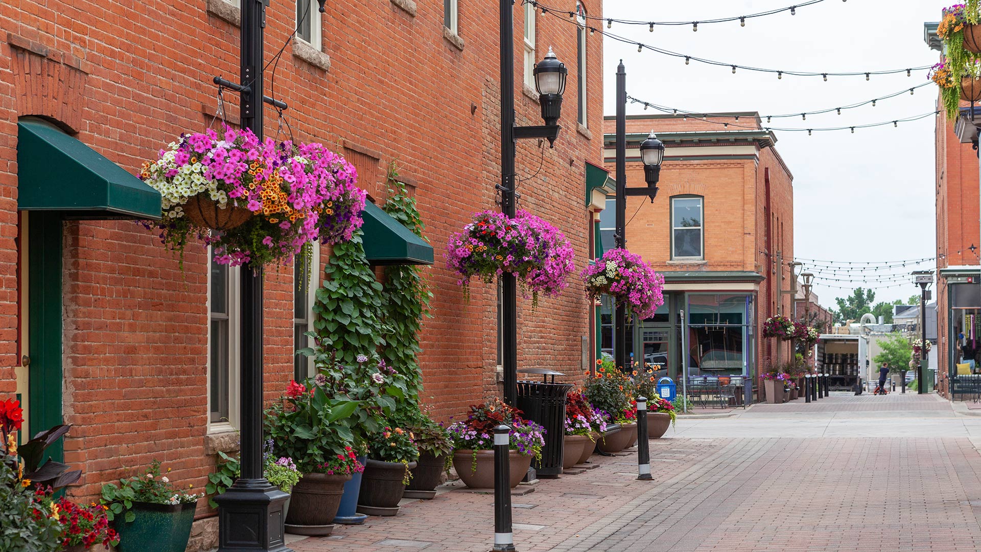 Street with flowers in Fort Collins