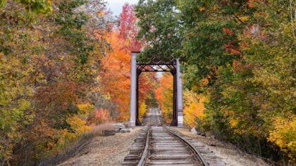 Stretch of the Conway Scenic Railroad during the Fall