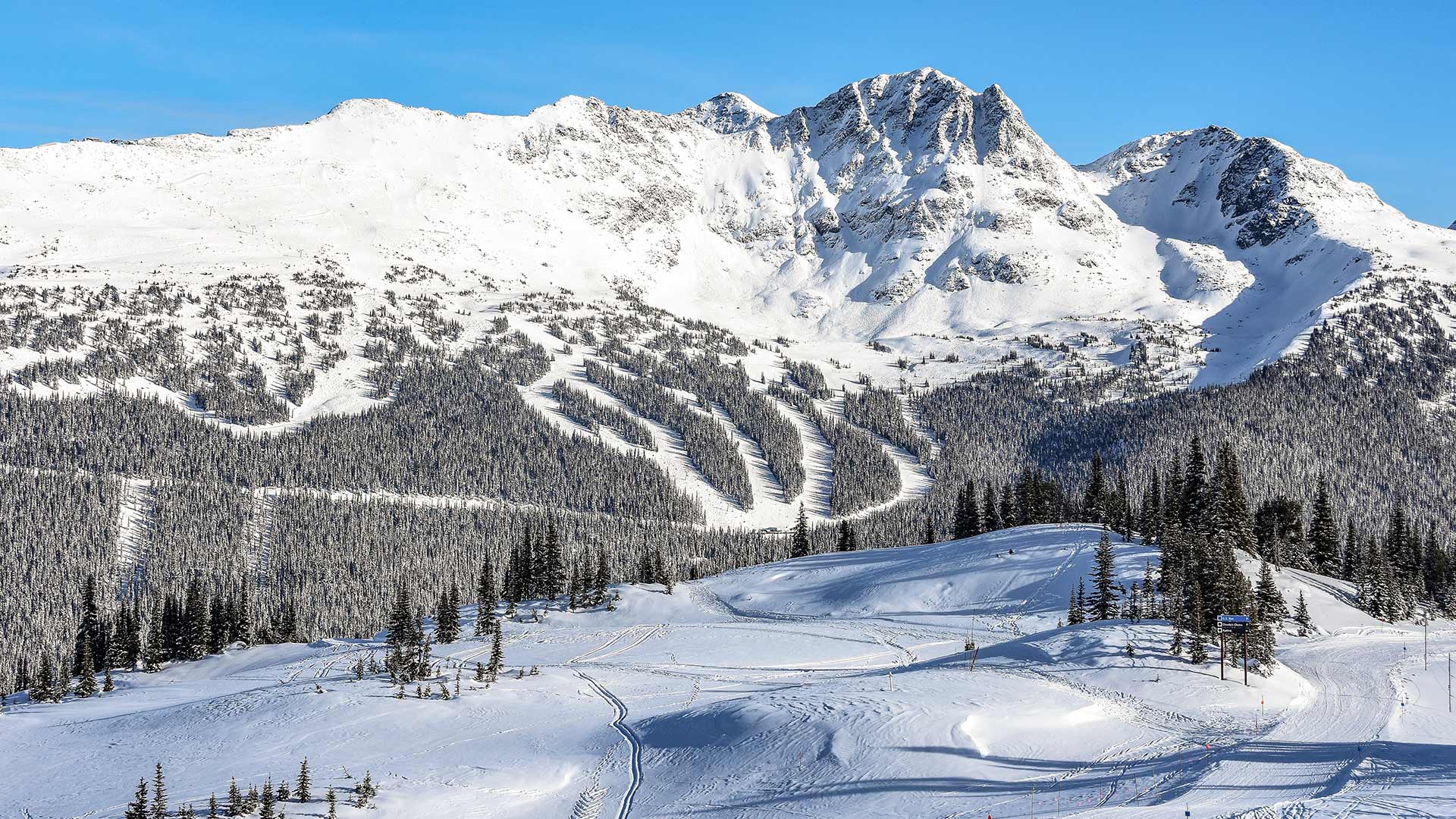 Ski slopes on Blackcomb Mountain in the winter