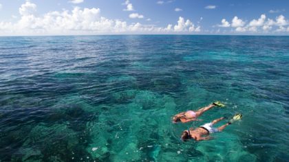 Two people snorkeling in Key Largo