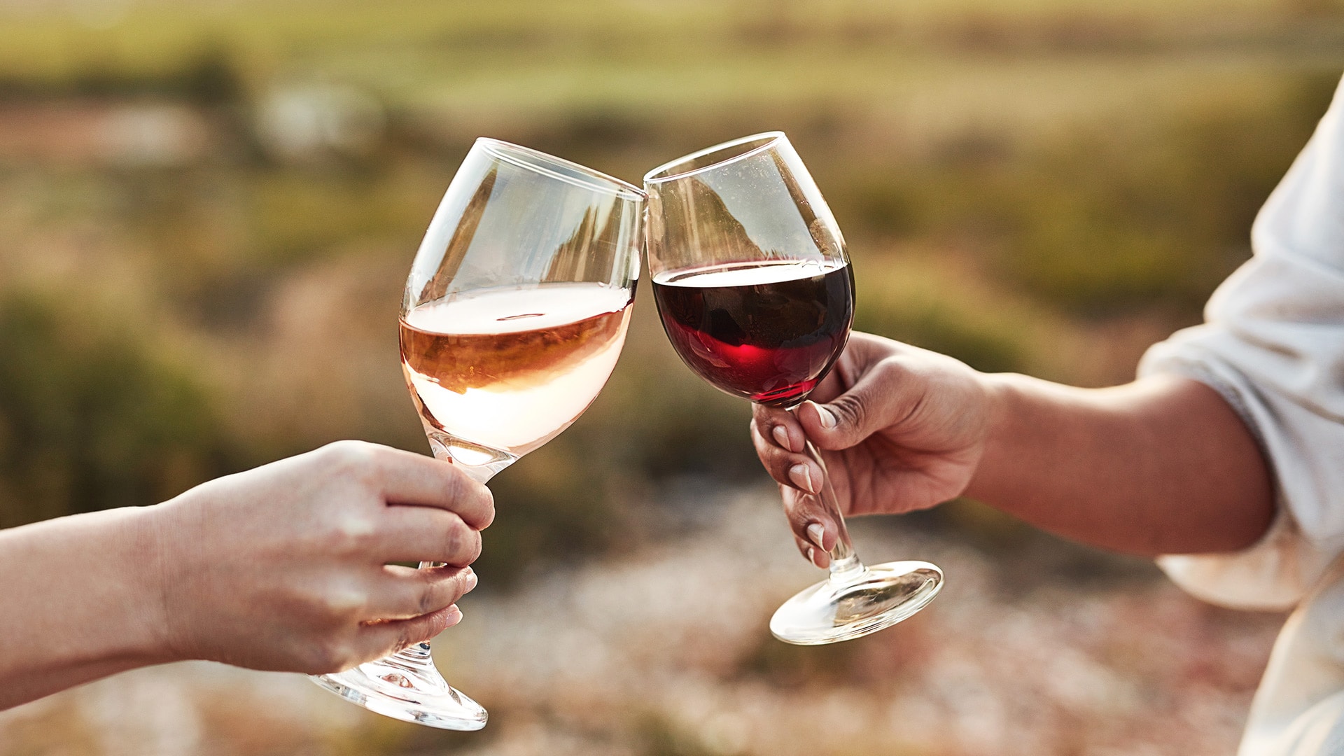 People toasting with red and white wine