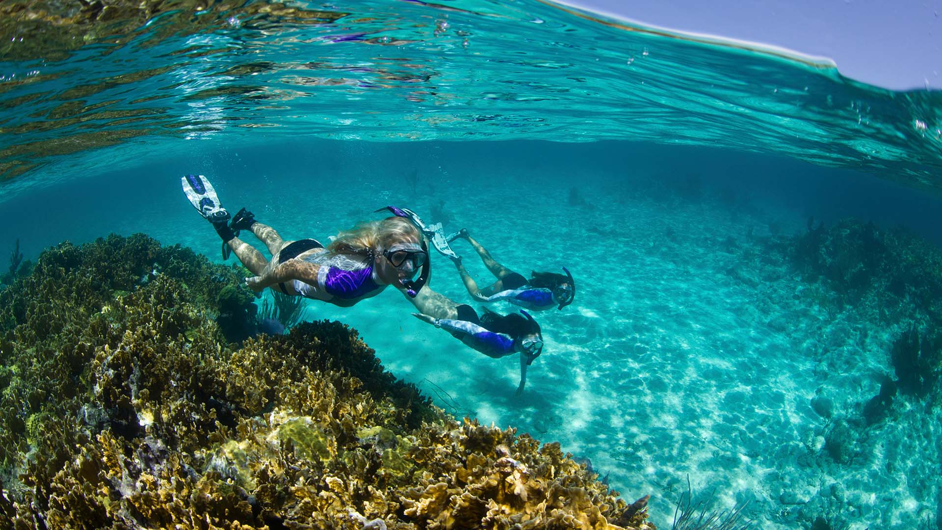 people snorkeling in the bahamas