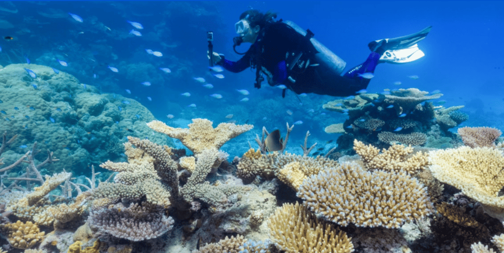 Great Barrier Coral Reef Restoration and Travel | Marriott Bonvoy Traveler