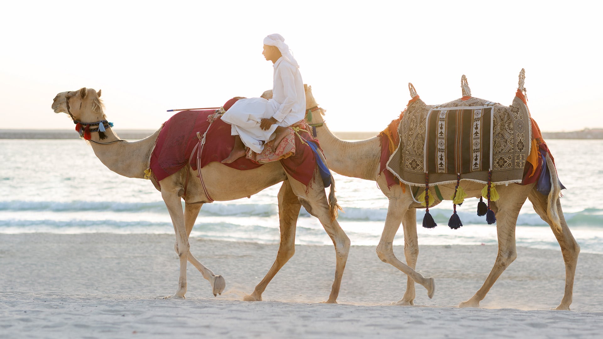 man on camel on beach