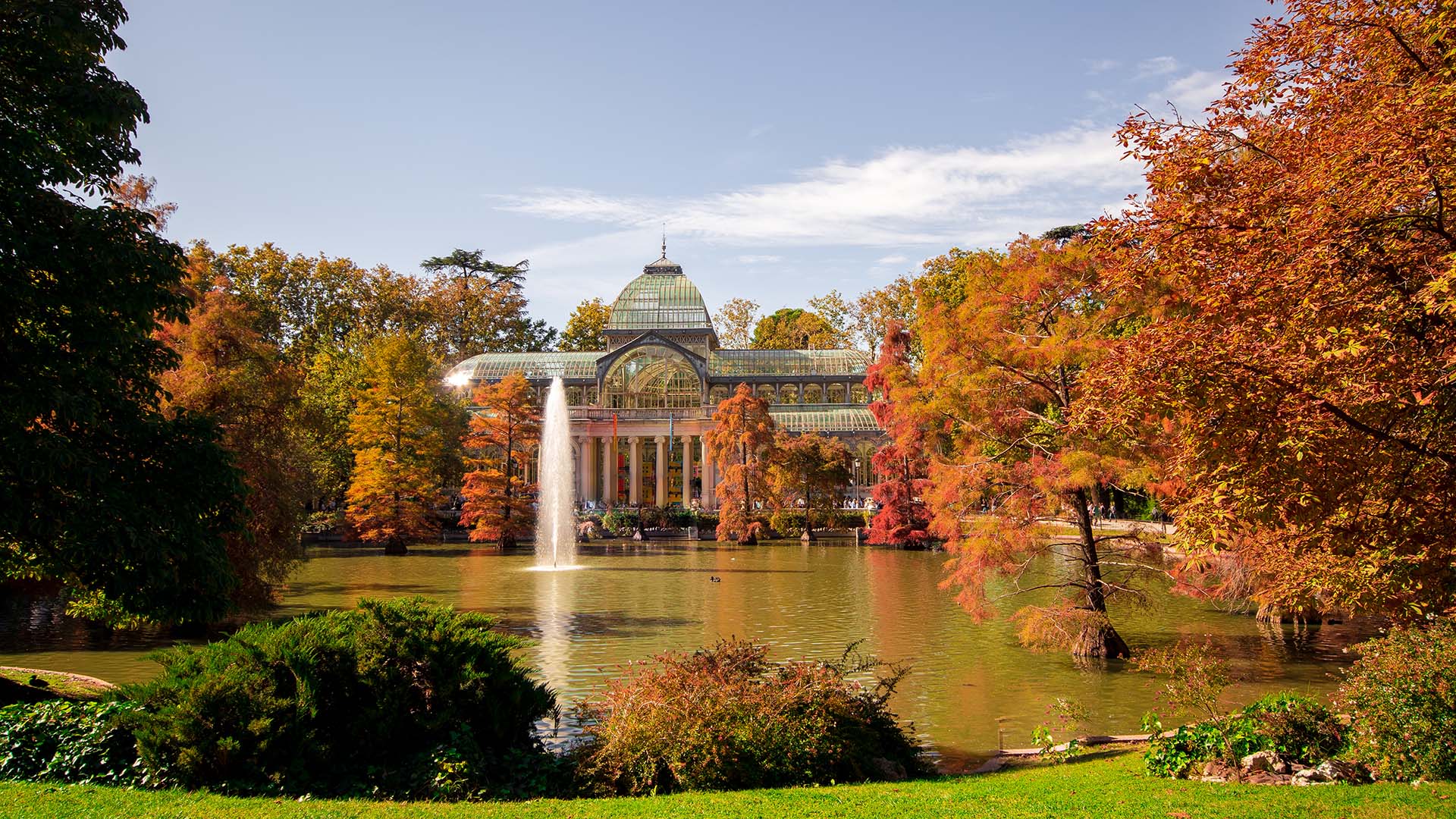 Fall in love with Madrid's Retiro Park 