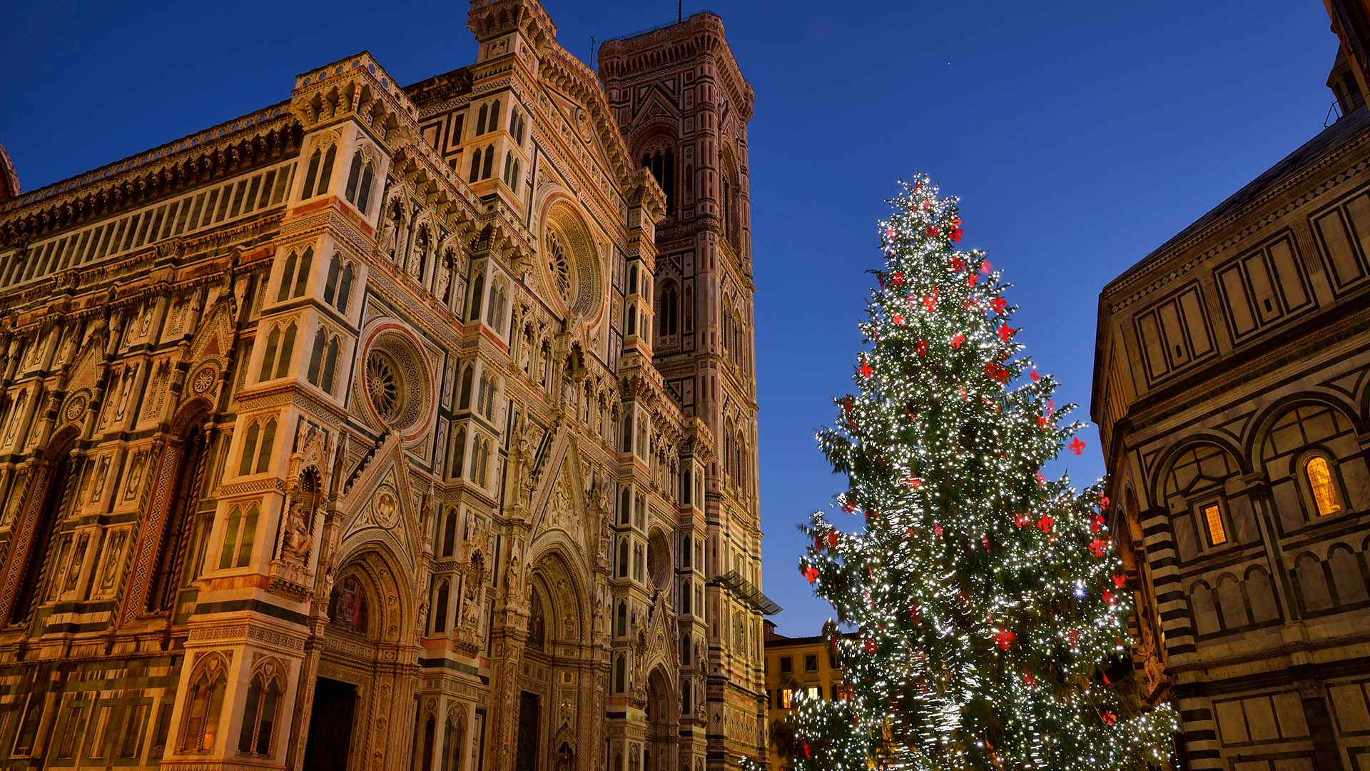 A holiday tree and buildings in Florence, Italy