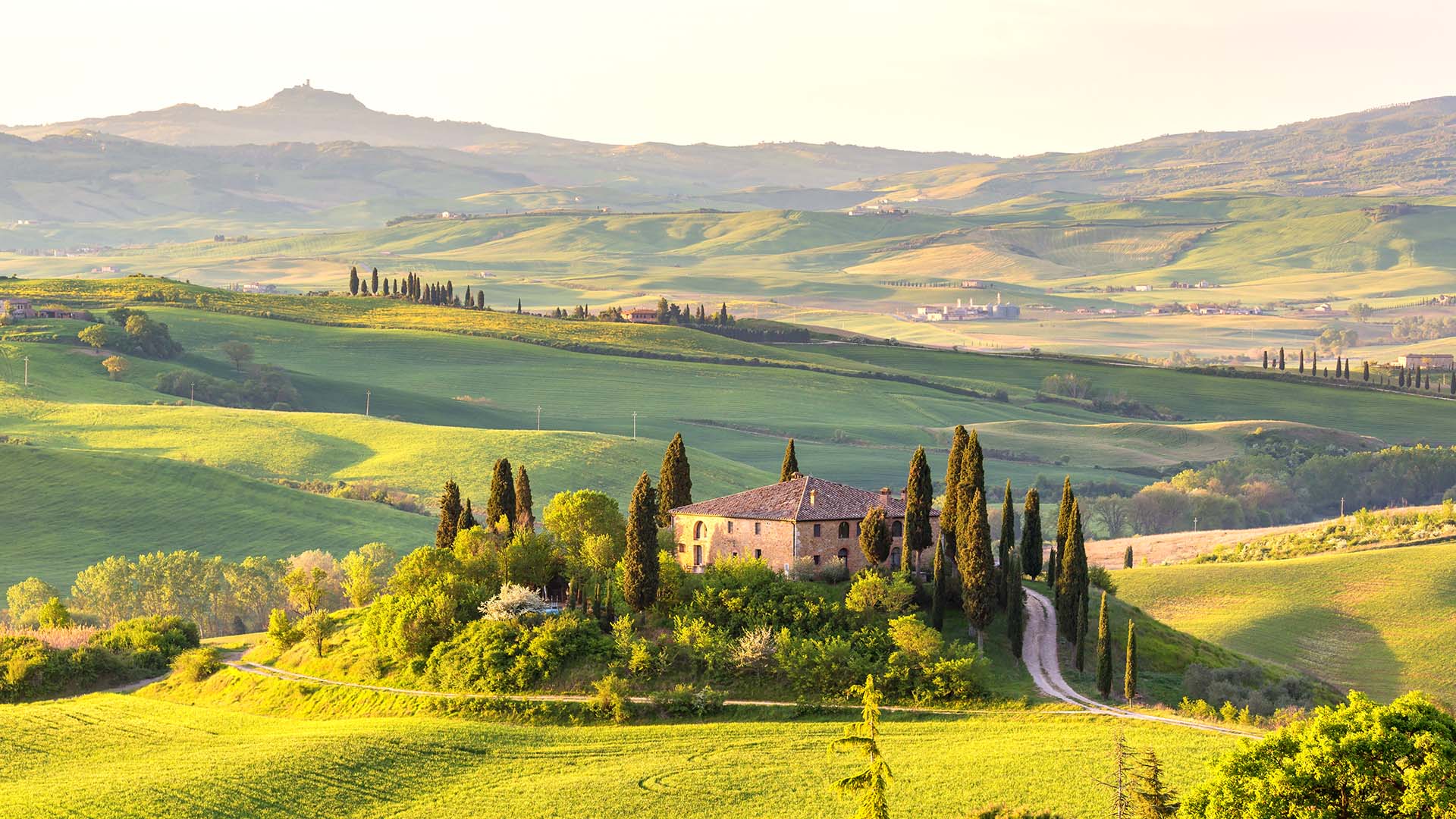 tuscan vineyard