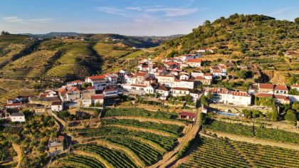 duoro portugal vineyards