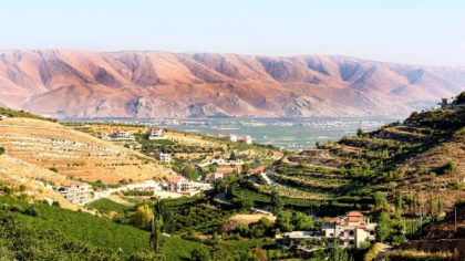 lebanon wine region