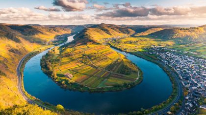 moselle valley vineyards