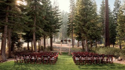 A wedding held in the forest