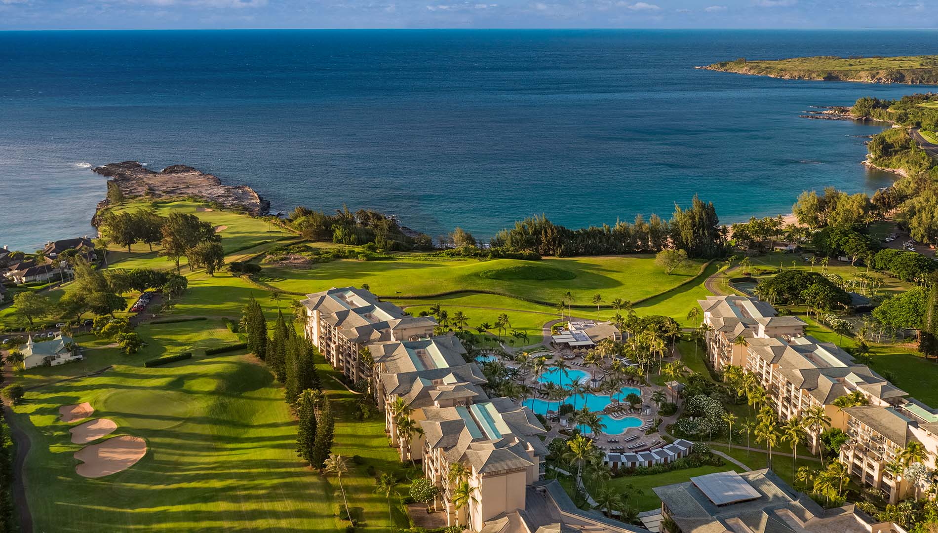The Ritz Carlton in Hawaii