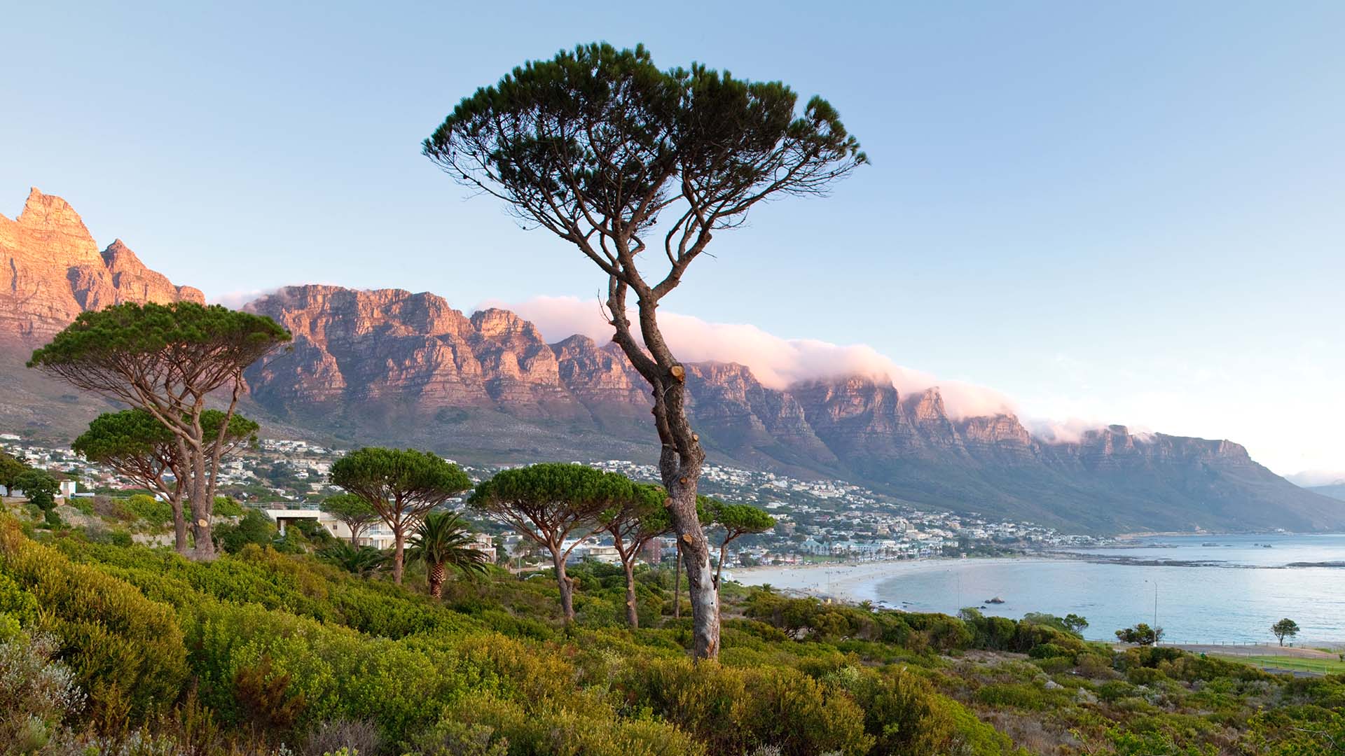 Table Mountain National Park South Africa