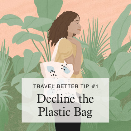 decline the plastic bag