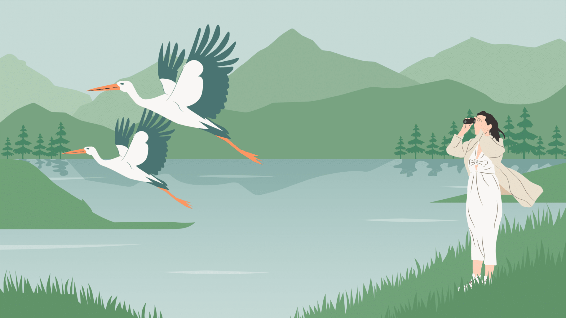 Illustration of two birds flying over a lake in mountains, birdwatcher watching with binoculars.