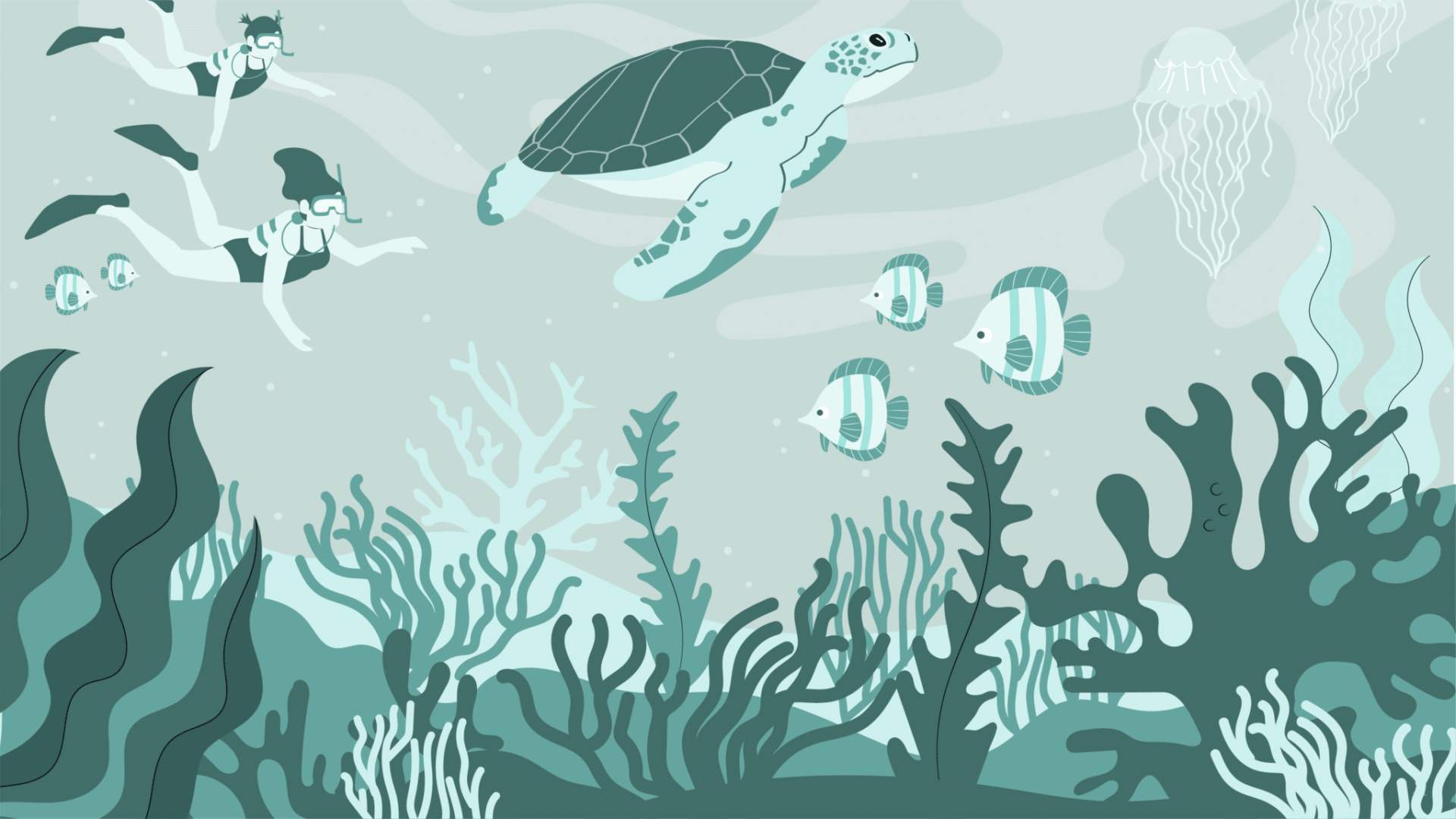 Illustration of scuba divers with turtle and fish in coral reef.