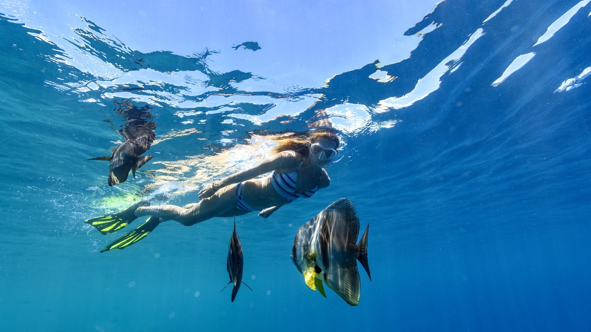 girl snorkeling in blue water in Indian Ocean off of Seychelles and Mauritius with fish