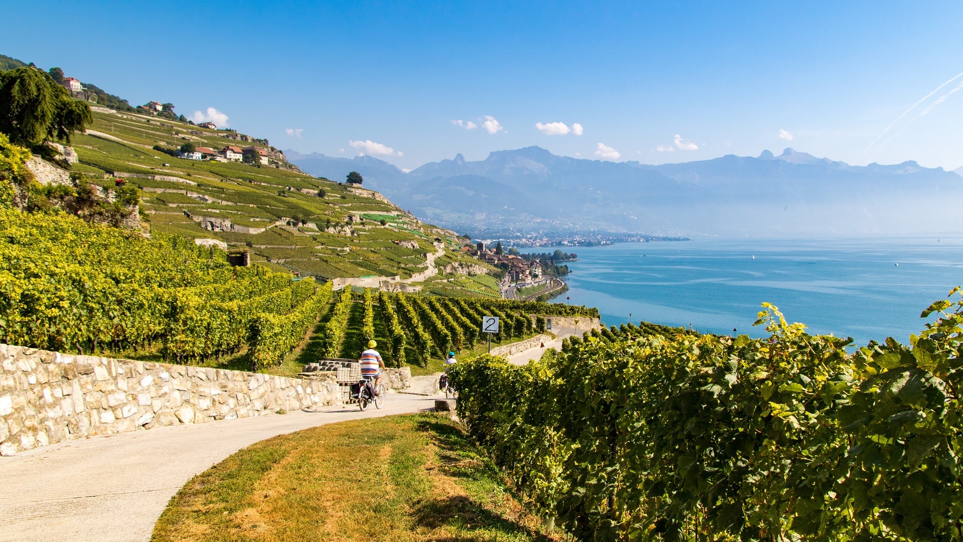 Lavaux Vineyards bikers on the road with view of the alps and Lake Geneva in Switxerland