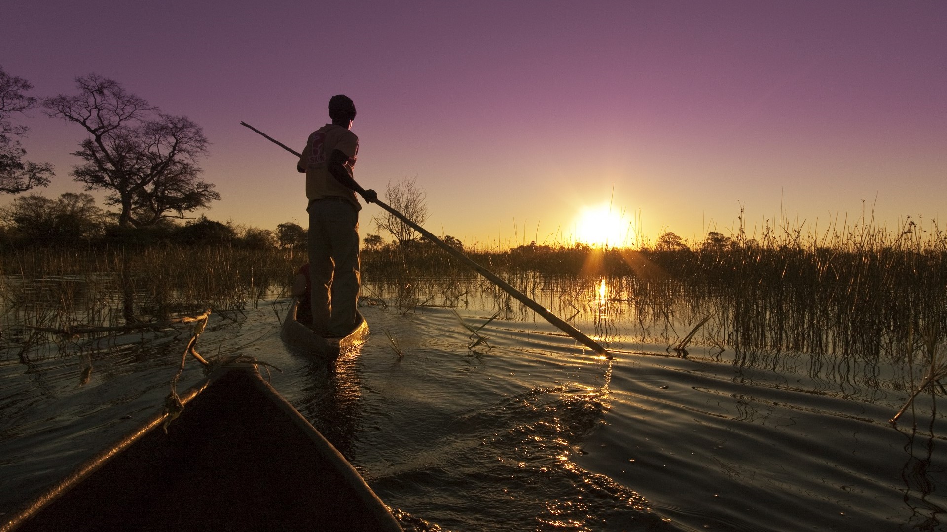 African safari on a mokoro canoe boat in Botswana's Okavango delta at sunset