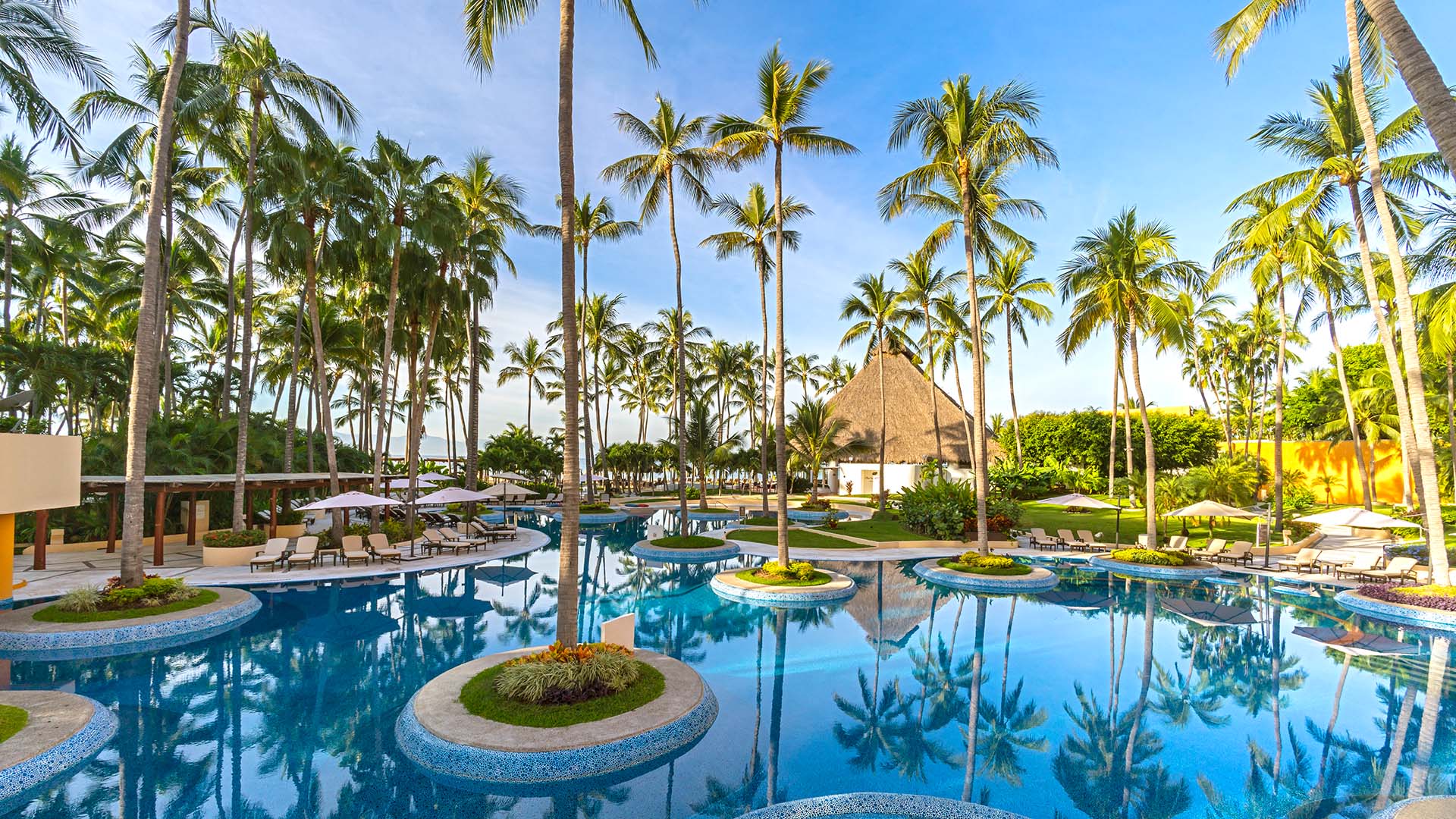The Westin Resort & Spa Puerto Vallarta pool and palm trees