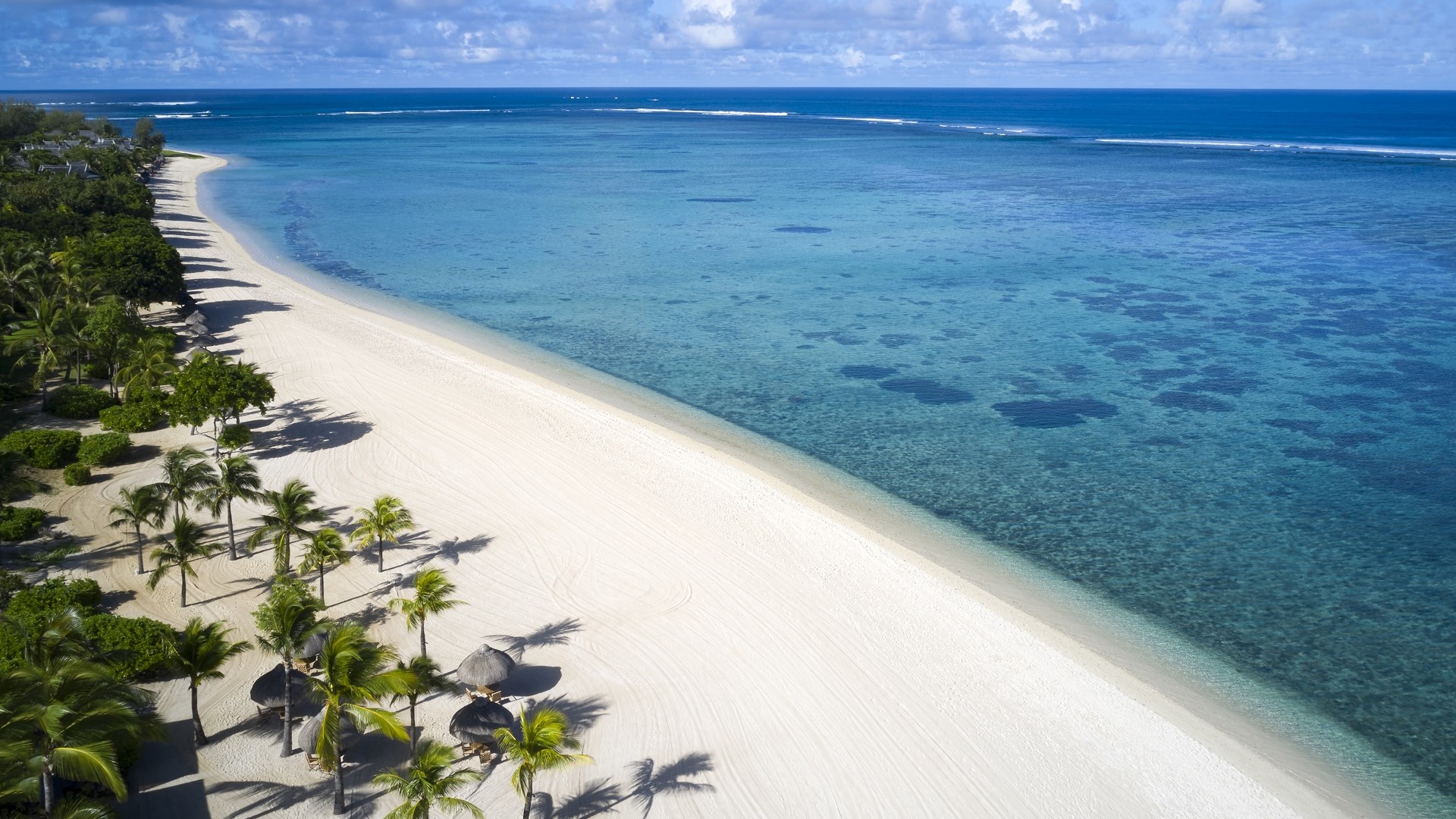 aerial view of reefs, white sand, and palms on Indian Ocean in the Seychelles islands