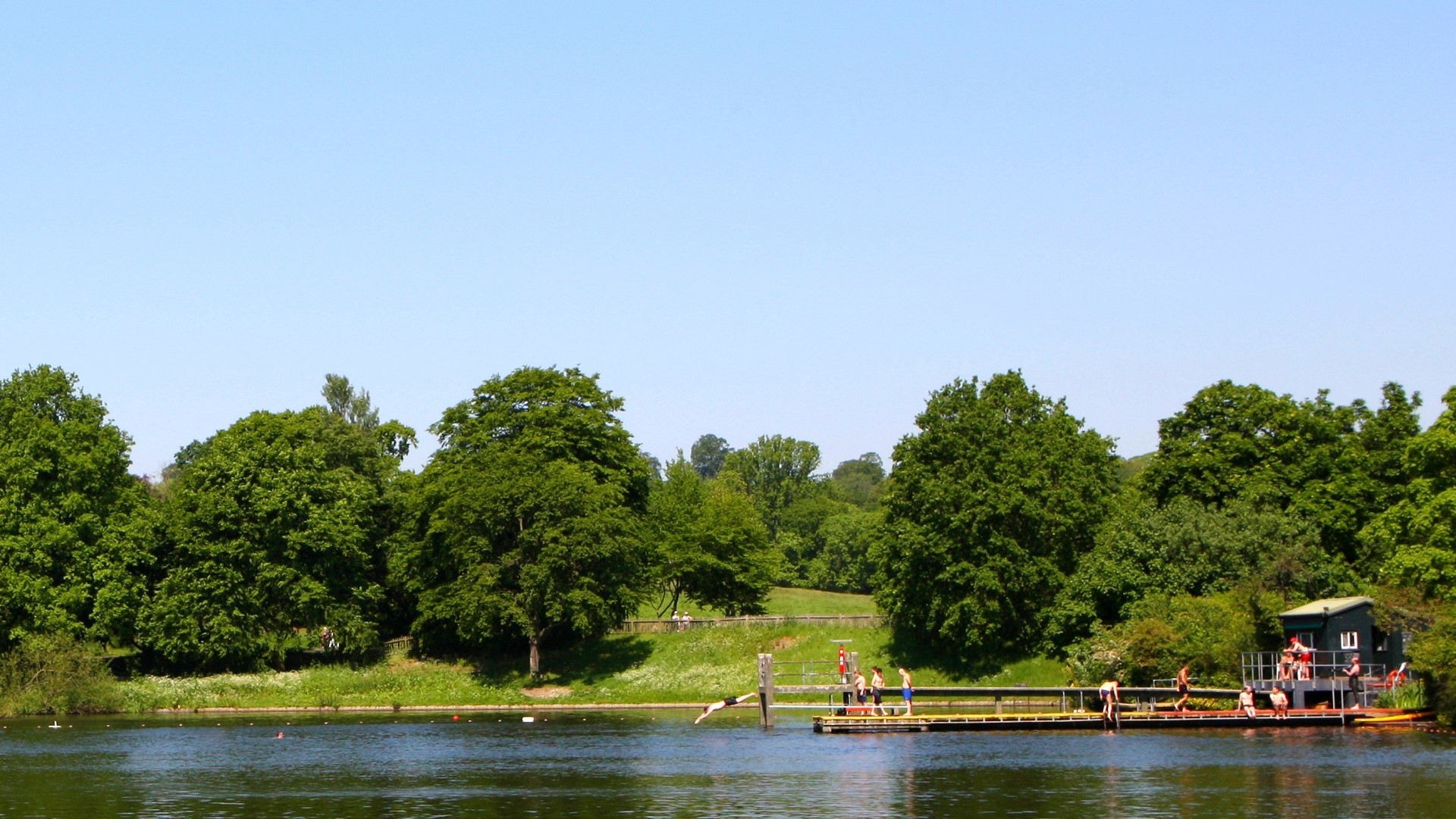 people diving off dock at swimming pond at Hampstead Heath park, Summer in London