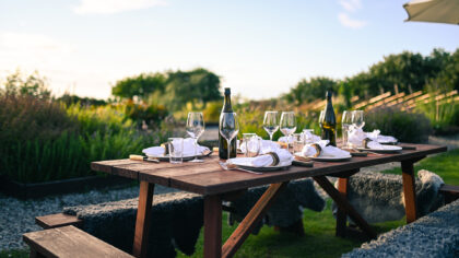 table in vineyard set with plates and wine glasses and bottles of wine