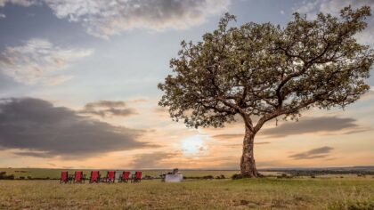 lounge chairs on the plains at the JW Marriott Mara Lodge in Kenya at sunset