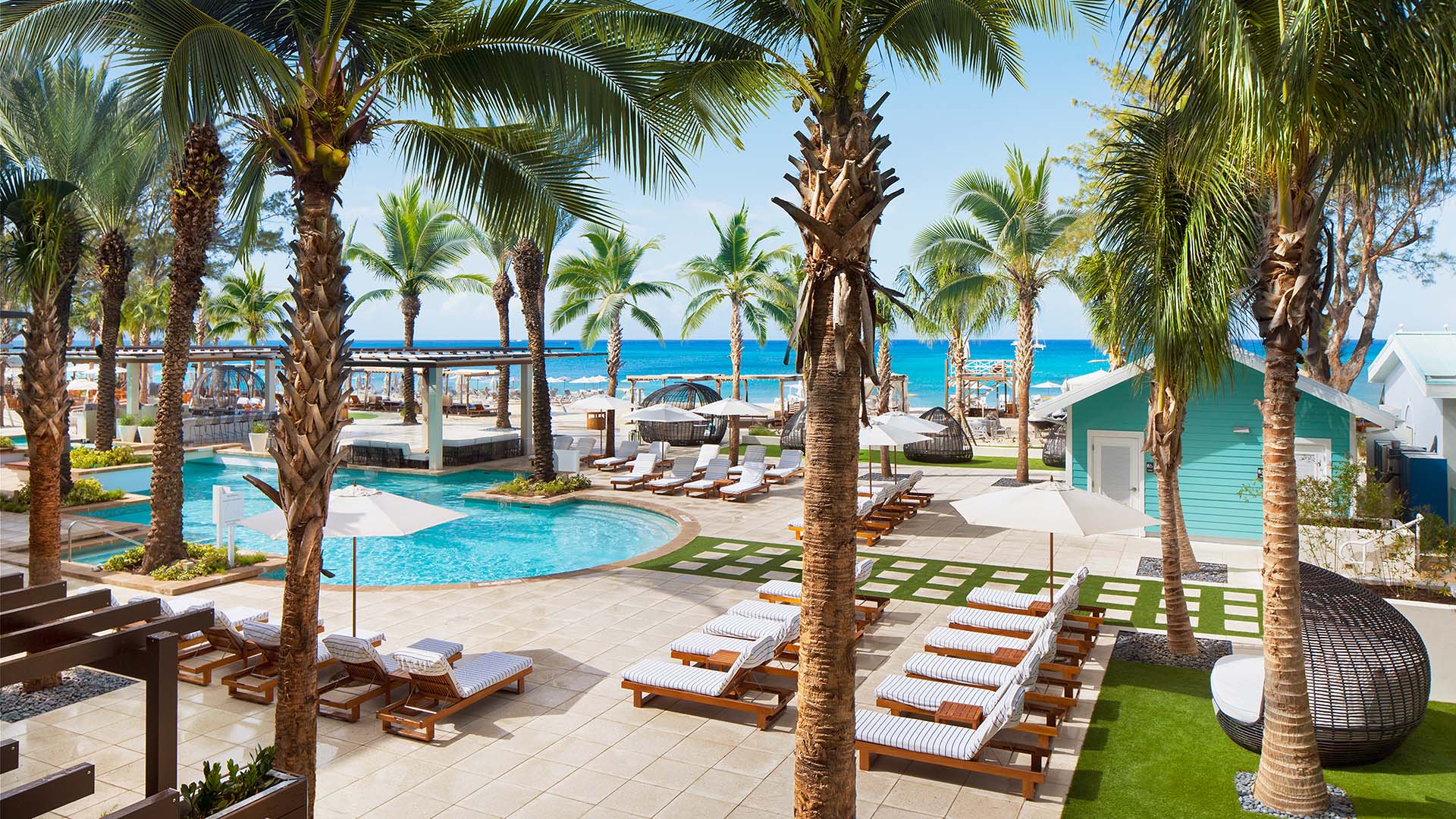 Westin Grand Cayman Seven Mile Beach Resort & Spa pool, beach and palm trees