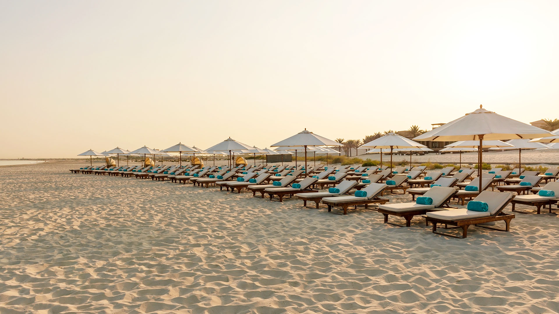 several rows of beach loungers and umbrellas on the beach at The St. Regis Saadiyat Island Resort, Abu Dhabi
