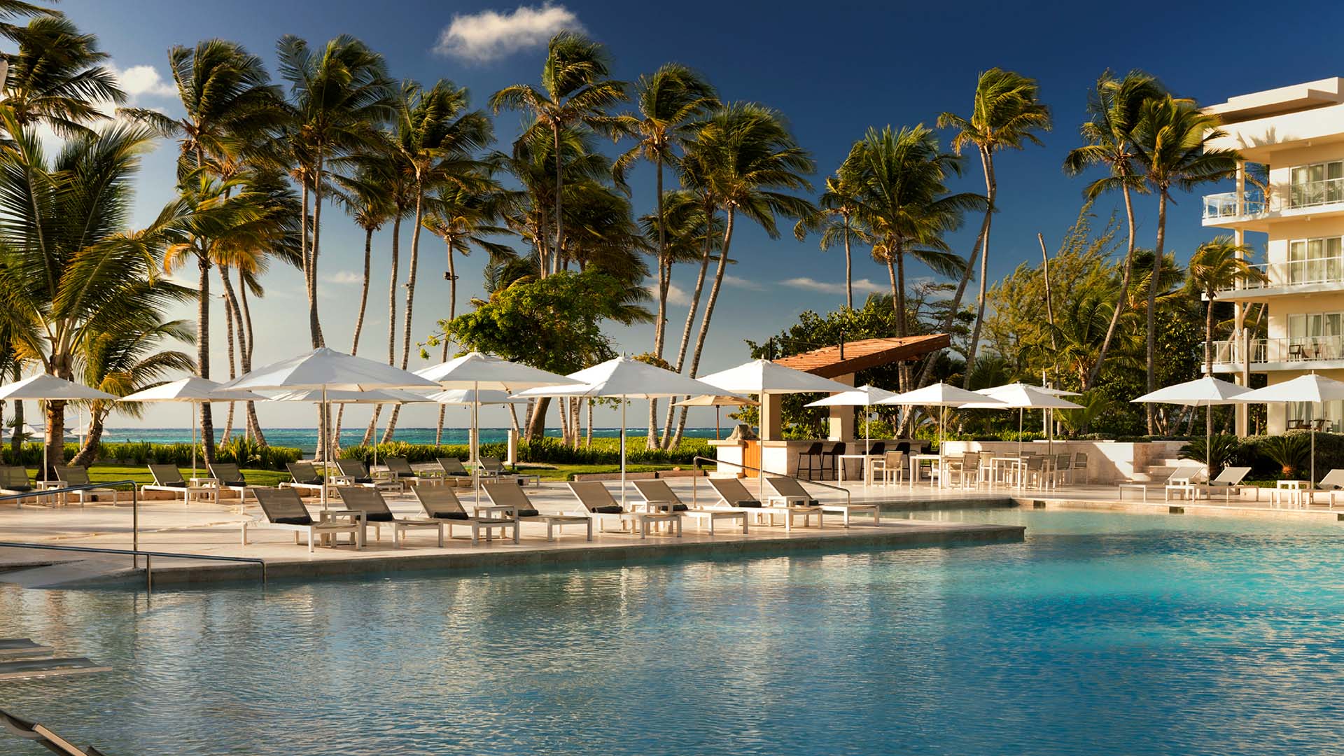 a large pool surrounded by sun loungers and umbrellas at the Westin Puntacana Resort & Club