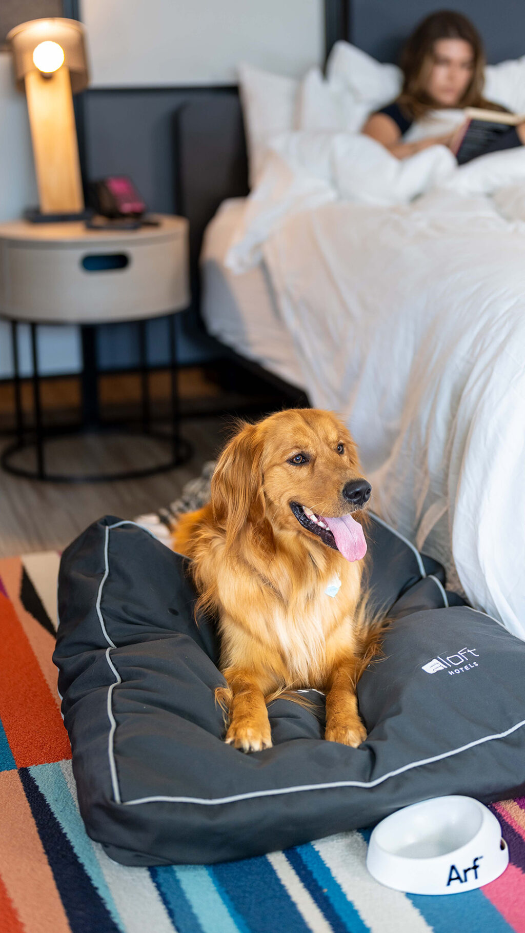 long-haired dog lying on an Aloft-branded pet bed in a hotel room
